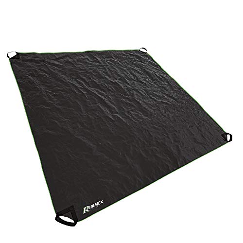 Ribimex Ribimx - Prsacpl2 - Telone Per Raccolta Fogliame - 2M X 2M