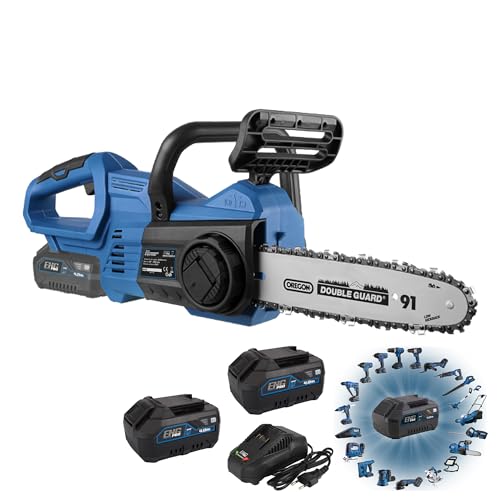 Eng Pro Elettrosega Per Potatura| Linea Professionale A Batteria One4All| Motosega A Batteria Sega Portatile | Lunghezza Barra Lama 10” (250 Mm) | 2 B