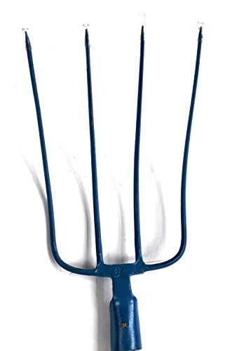 Angelo B 03.08.01 Forca Stalla 4 Denti, Blu