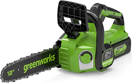 Greenworks Gd24Cs30 Motosega A Batteria Con Motore Brushless, Lunghezza Barra 30Cm, Velocità Catena 7,8M/S, Auto-Lubrificante, Anti Contraccolpi, Senz