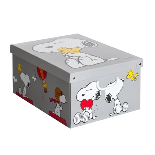 Lavatelli Scatola Per Armadio In Cartone, Organizer Per Vestiti E Biancheria, Per Cambio Stagione O Per Confezione Regalo, Grande, Snoopy Grigia, Con