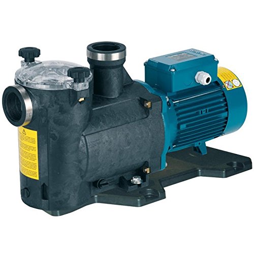 Elettropompa Per Piscina Mpc 61 Hp 2 Volt 380 Calpeda