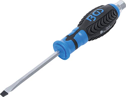 Bgs Cacciavite, Kraftool 6 X 100 Mm Con Tasche Esterne, Esagonale, 1 Pezzi, 7919
