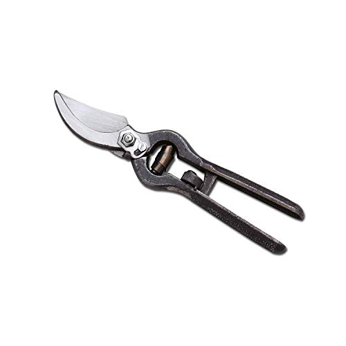 Ausonia - Forbice Da Vigna Forgiata Professionale – Spalla Nera – Cm 23