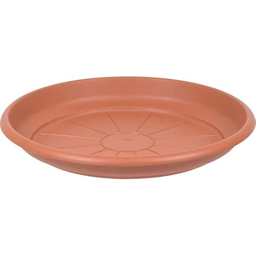 Ics Sottovaso