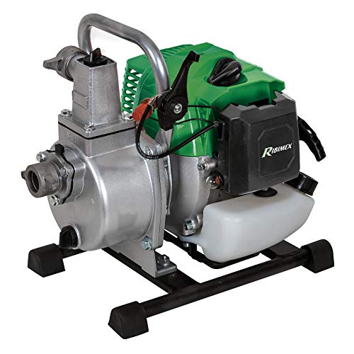 Ribimex Prmpp043 Motopompa Portatile 42,7 Cc, Verde/Grigio/Nero, 8 M3/H