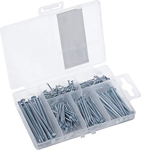 Connex Dp8500101 Dp8500101-Assortimento Di Chiodi Assortiti, 200 Pezzi, Diverse Misure, In Pratica Scatola Di Plastica, Adatto Per Casa, Hobby E Offic