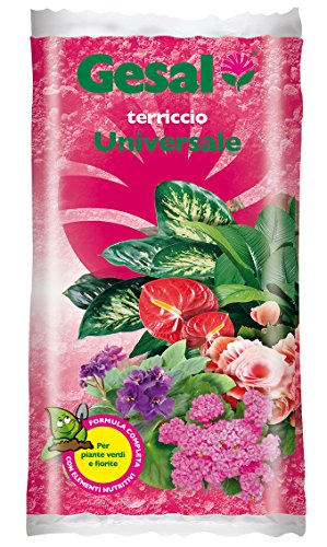 Terriccio Universale Lt.10 (Kg.2,5)