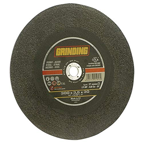Disco Abrasivo Ferro 300X3,5 F.30 Grinding [Grinding ]