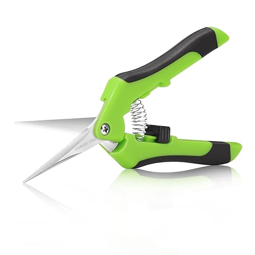 Forbici Da Potatura Manuale E Da Giardinaggio. Forbice Da Taglio Portatile In Acciaio Inox Professionale (Verde), Con Impugnatura Comoda A Molla. Punt