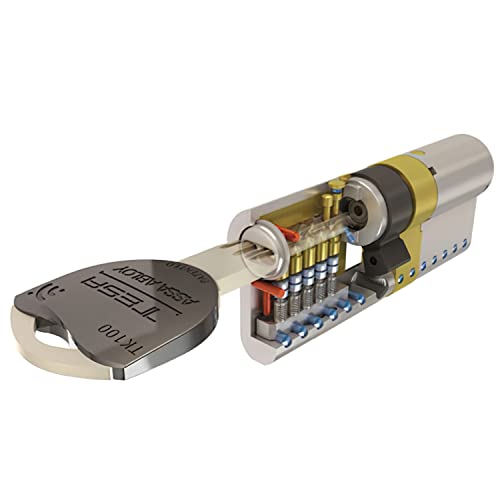 Tessa Assa Abloy Tk153030L Cilindro Tesa Security Tk1 30X30 Ottone, 0 W, 0 V, 30 X 30 Mm