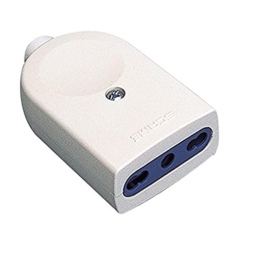 Poly Pool - Pp0466S Presa Bivalente Standard Italiano 10/16 A - Presa Per Spina Italiana 250V Con Contatti Di Sicurezza - Presa Bivalente Bianca Made 