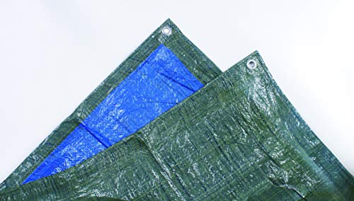 Toldo Plastico 70 Gramos 5X8 Mts. Azul