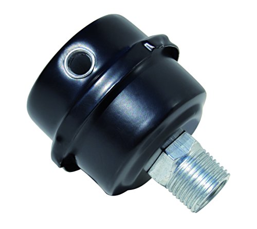 Cevik Ca-875/6-Accessorio Per Filtro Aria Di Neumatica In Metallo, Filettatura Femmina Da 3/8 , Filettatura Maschio Da 1/4