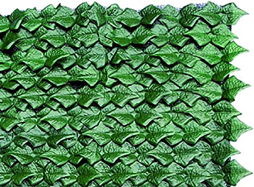 Blinky 7970620 Siepi Sempreverde, Verde