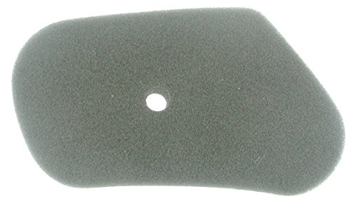 Greenstar, 5562, Greenstar 5562 Filtro