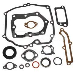 Greenstar, 7497, Green Star 7497 Bag & Amp; Briggs E Stratton Kit Di Manutenzione Per La Sigillatura