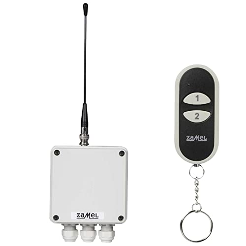 Etero Interruttore Wireless Set Con Trasmettitori, 2 Canali, 1 Pezzo, Rws 211D/N