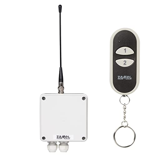 Etero Interruttore Wireless Set Con Trasmettitore, 1 Canali, Rws 211 J/N