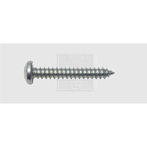 Vite Per Lamiera 3.9 Mm 19 Mm A Croce Philips Din 7981 Acciaio Zincato 100 Pz. Swg