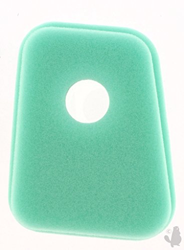 Greenstar, 5488, Un Greenstar 5488 Air