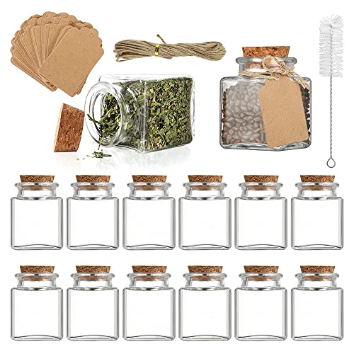 Dagord 12 Pezzi Bottigliette Vetro Bomboniere 50Ml Mini Bottiglie Vetro Con 12 Pezzi Etichette + 10M Spago + Pennello Lungo, Barattolo Vetro Tappo Sug