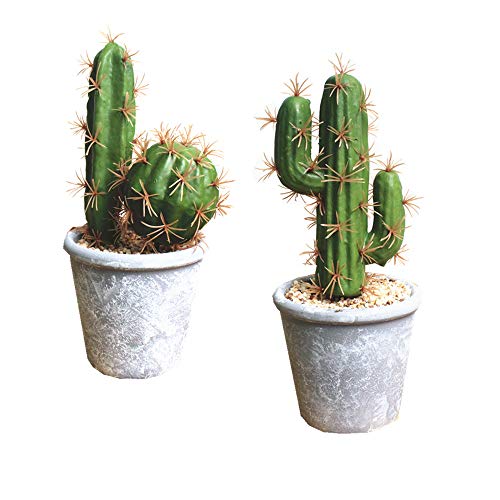 Fycooler Piante Succulente Artificiali Cactus Finto Piante Grasse Finte Decorative In Vaso Cactus Finto Cactus Con Vasi Cactus Finto Artificiale Per D