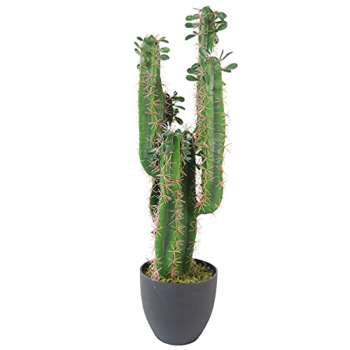Leaf Leaf-7281 - Cactus Artificiale Con Vaso, 75 Cm