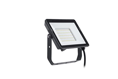 Philips Projectline, Proiettore Led, 50W, Luce Bianca Fredda, Illuminazione Commerciale E Esterna