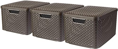 Curver Style Set Di Contenitori, Dunkelbraun, 7L/18L/30L, 3 Unità