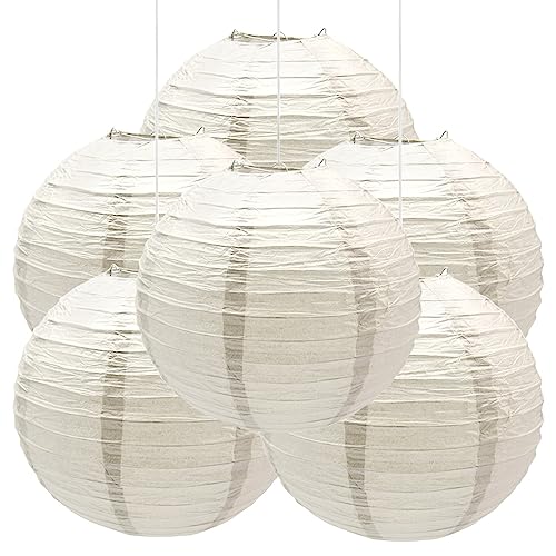 Ceeysee 6 Pezzi Lanterne Di Carta 30Cm Lanterne Rotonde Grigio Di Carta Lanterne Di Carta Appese Per Decorazioni Di Festa Compleanno Matrimonio Natale