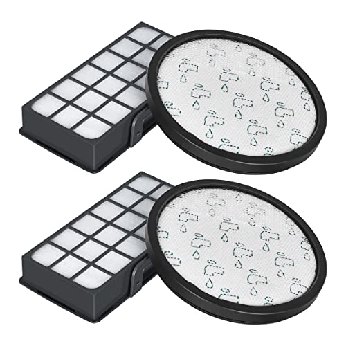 2 Kit Di Filtri Per Rowenta X-Trem Power Cyclonic Aspirapolvere Ro6941Ea Ro6951Ea Ro6963Ea Ro6971Ea Ro6984Ea Ro6993Ea (Ro69Xx Model), Filtri Hepa Con