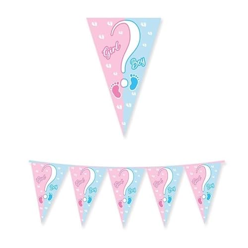 Ardito Michele Bandierina Bimbo O Bimba ? (Boy Or Girl ?) Festone Baby Shower Nascita 300 X 30 Cm Party Festa