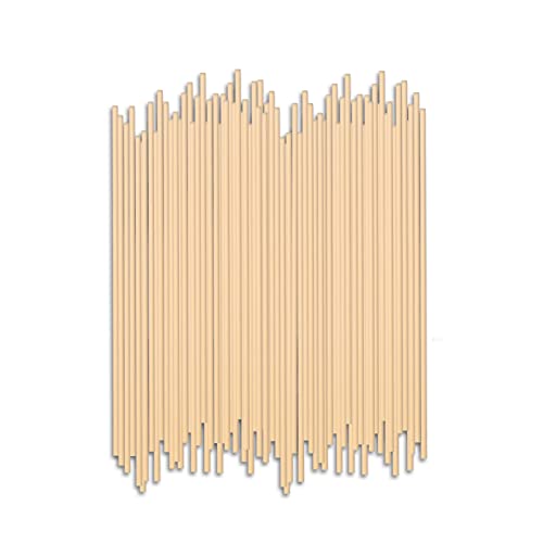 Hossian Bastoncini Per Diffusori A Lamella - Diffusori A Lamella-Bastoni A Lamella - Sostituzione Del Legno Di Rattan Naturale Per Fragranze Aromatich