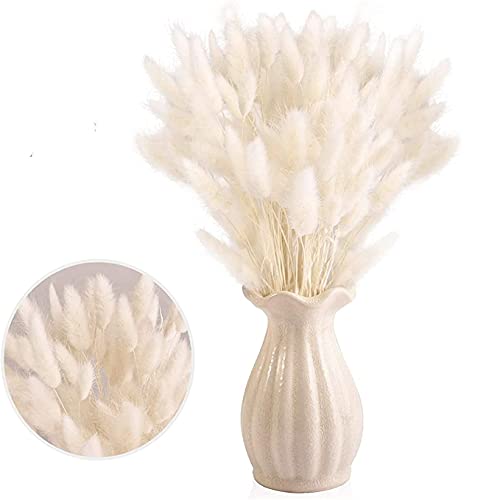 Meet-Shop, Piccola Erba Secca Di Pampa, Coda Di Coniglio Essiccata Mazzi Di Erba 30 Pcs, Pampa Erba Secca Naturale Fiore Artificiale Per Matrimonio De