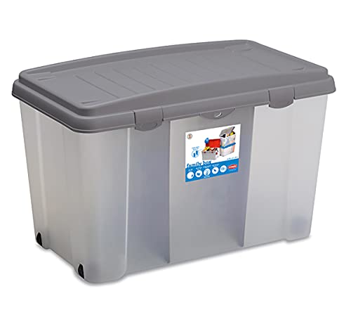 Family Box Fusto 80X47 Trasp Coper Silve