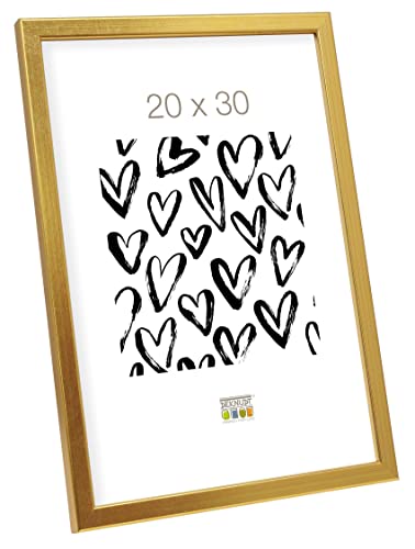 Deknudt Frames S41Ja1 20 X 30 Cornice D'Oro Di Legno