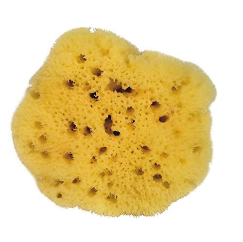 Croll & Denecke L080 - Spugna Naturale A Pori Sottili, Levantina Dal Mar Mediterraneo, Per La Cura Del Viso, Dimensioni: 8 Cm