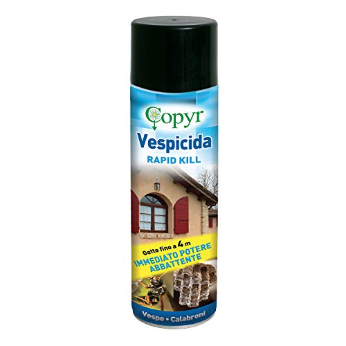 Copyr | Rapid Kill: Vespicida Insetticida Pronto All'Uso Contro Insetti Volanti, Mosche, Zanzare E Vespe Calabroni - Bombola Da 750 Ml