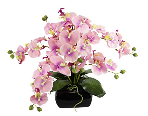 Flair Flower Orchidea Con Foglie E Radici D'Aria, In Ciotola In Ceramica, Fiore Artificiale Phalaenopsis Con Vaso Di Fiori Artificiali Per Matrimonio,