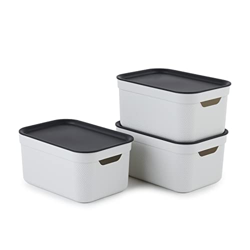 Rotho Jive Dekobox - Set Di 3 Scatole Portaoggetti Da 5 L Con Coperchio, In Plastica (Pp Riciclata), Bianco/Antracite, 3 X 5 L (26,5 X 18,5 X 13,2 Cm)