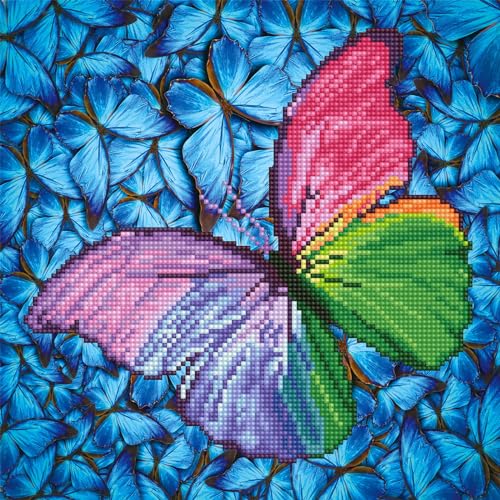 Diamond Dotz Intermediate, Dd5, Flutter By Pittura, Kit Per Principianti, Rosa, 30.5 X 30.5Cm