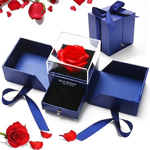 Gohytal Rosa Eterna, Bella E La Bestia Rose Artificiale Rosa Stabilizzata Fiore Mai Appassito Regalo Di Gioielli In Rosa Conservati A Mano Rosa Regalo