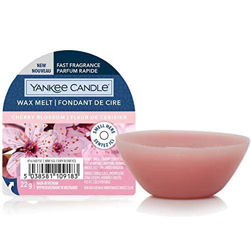 Yankee Candle Waxmelt, Cera, Cherry Blossom, One Size, 22 Unità