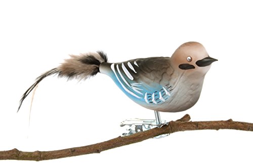 Thüringer Di Natale In Vetro, Ghiandaia Ghianda Con Natura Piuma, Blu, 14 X 3,3 X 6 Cm