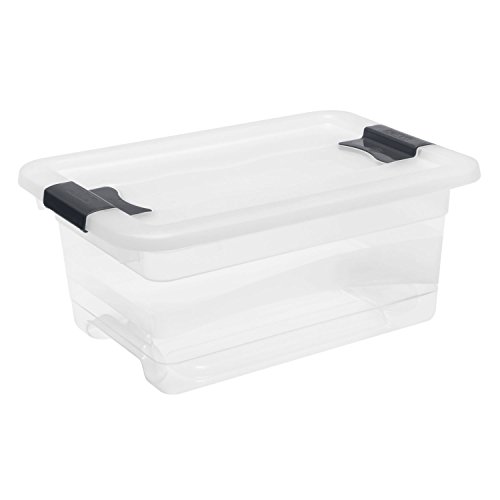 Keeeper Contenitore Con Coperchio, Cornelia, Pp, Naturale-Transparente, 29.5 X 19.5 X 12.5 Cm