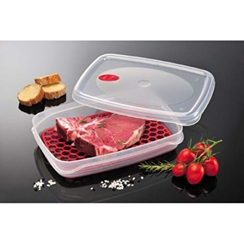 Bama Contenitore Per Alimenti Freska Grill, Multi-Colour, 2,5 Litri