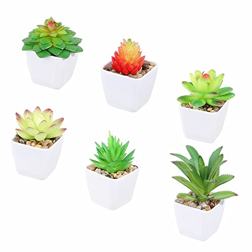 Tifuly 6 Pezzi Piante Succulente In Vaso Artificiali, Piante Grasse Realistiche Piccole Piante Verdi Finte Con Vaso In Melamina Per La Decorazione Del