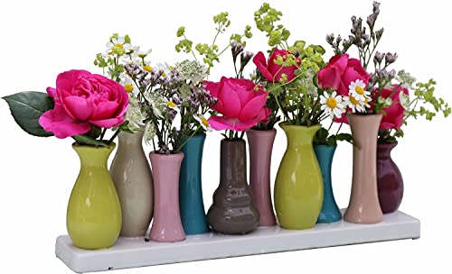 Jinfa Vasi Per Fiori Decorativi Ceramica Centrotavola Design | Multicolore 31X7X11 Cm | 10 Vasetti