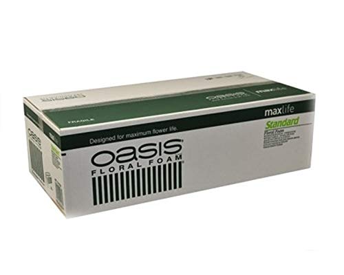 Zelda Bomboniere Scatola Spugna Da 35 Mattonelle Oasis Standard Fiorista
